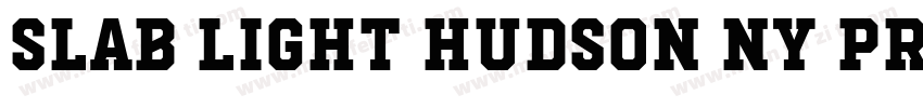 Slab Light Hudson NY Pro字体转换